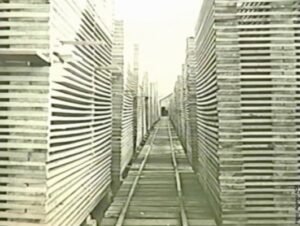 Foto — Associação Catarinense de Empresas Florestais (ACR)