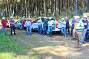 Foto — Associação Catarinense de Empresas Florestais (ACR)