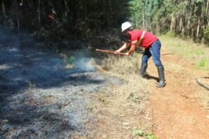 Foto — Associação Catarinense de Empresas Florestais (ACR)
