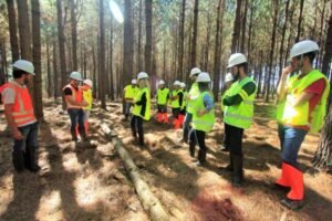 Foto — Associação Catarinense de Empresas Florestais (ACR)