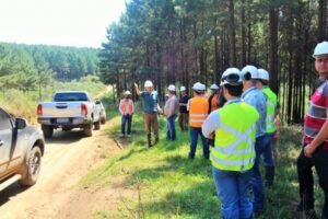 Foto — Associação Catarinense de Empresas Florestais (ACR)
