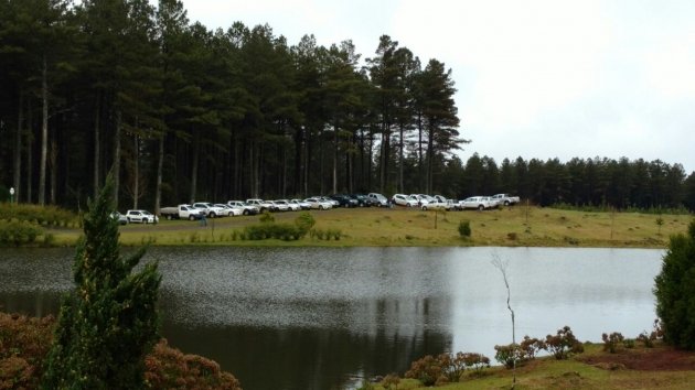Foto — Associação Catarinense de Empresas Florestais (ACR)