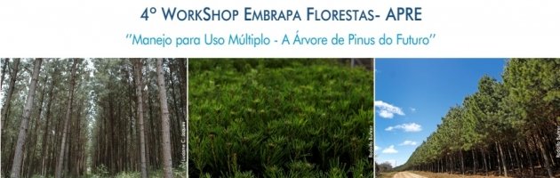 Foto — Associação Catarinense de Empresas Florestais (ACR)