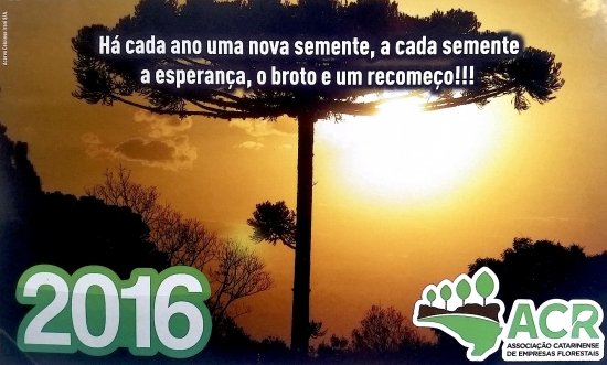 Foto — Associação Catarinense de Empresas Florestais (ACR)