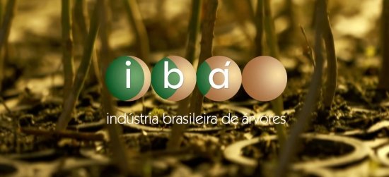 Foto — Associação Catarinense de Empresas Florestais (ACR)