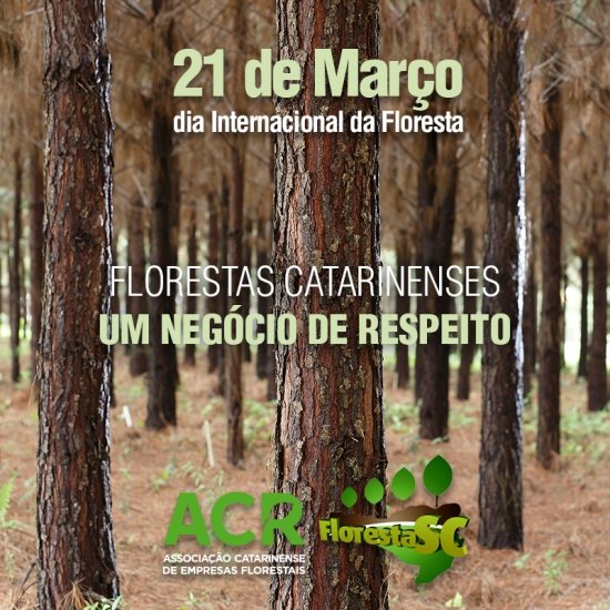 Foto — Associação Catarinense de Empresas Florestais (ACR)