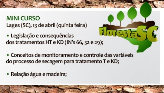 Foto — Associação Catarinense de Empresas Florestais (ACR)