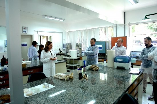 Foto — Associação Catarinense de Empresas Florestais (ACR)