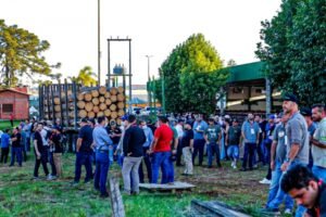 Foto — Associação Catarinense de Empresas Florestais (ACR)