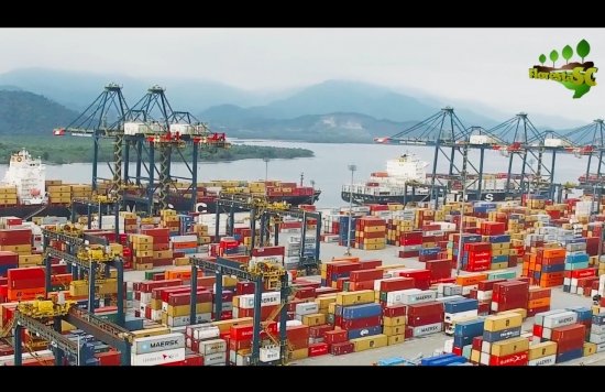 Foto — Associação Catarinense de Empresas Florestais (ACR)