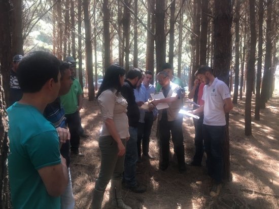 Foto — Associação Catarinense de Empresas Florestais (ACR)
