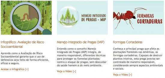 Foto — Associação Catarinense de Empresas Florestais (ACR)