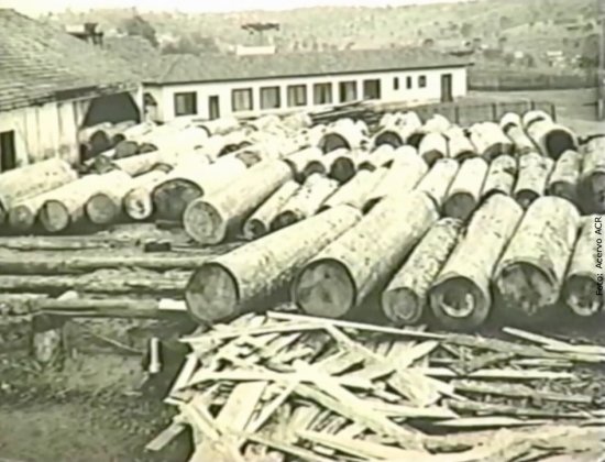 Foto — Associação Catarinense de Empresas Florestais (ACR)