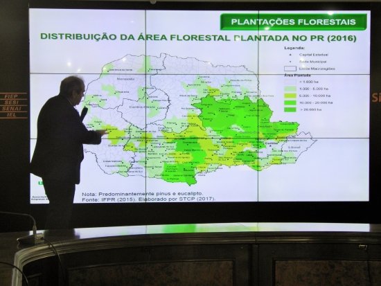 Foto — Associação Catarinense de Empresas Florestais (ACR)