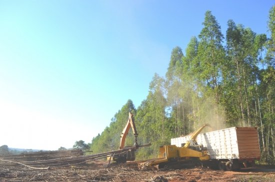 Foto — Associação Catarinense de Empresas Florestais (ACR)
