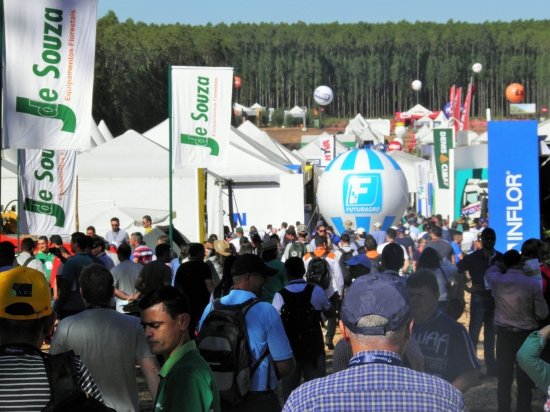 Foto — Associação Catarinense de Empresas Florestais (ACR)