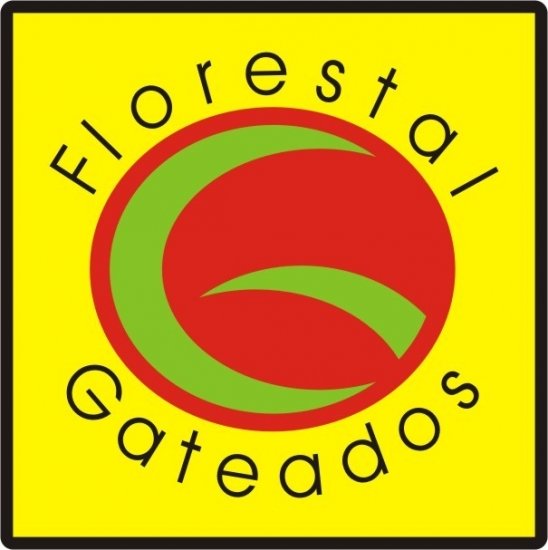 Foto — Associação Catarinense de Empresas Florestais (ACR)