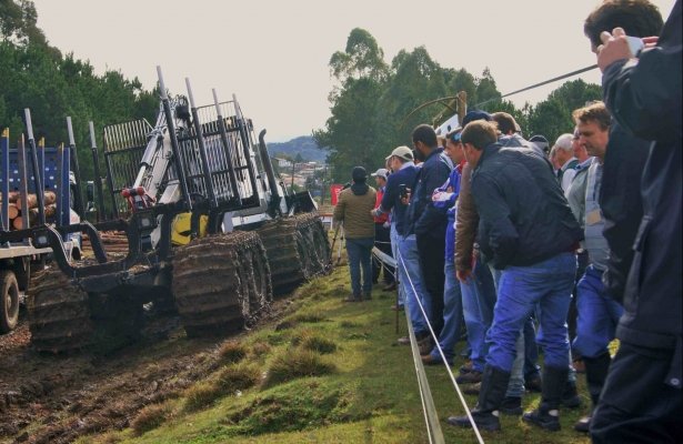 Foto — Associação Catarinense de Empresas Florestais (ACR)