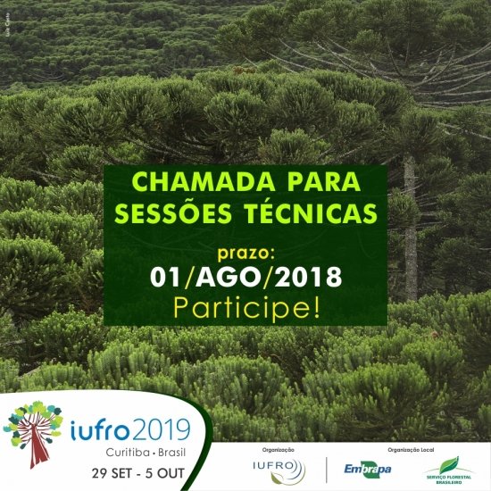 Foto — Associação Catarinense de Empresas Florestais (ACR)
