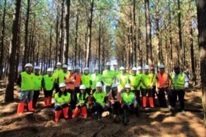 Foto — Associação Catarinense de Empresas Florestais (ACR)