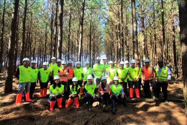 Foto — Associação Catarinense de Empresas Florestais (ACR)