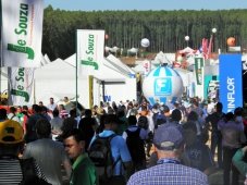 Foto — Associação Catarinense de Empresas Florestais (ACR)