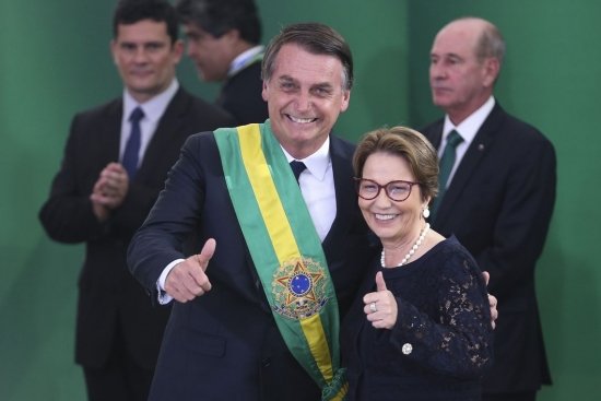 Foto — Associação Catarinense de Empresas Florestais (ACR)