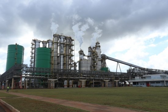 Foto — Associação Catarinense de Empresas Florestais (ACR)