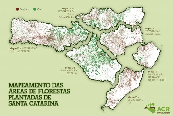 Foto — Associação Catarinense de Empresas Florestais (ACR)