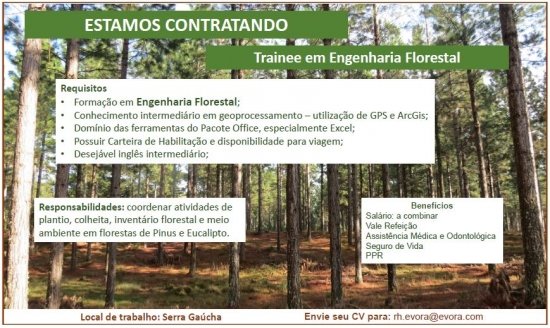Foto — Associação Catarinense de Empresas Florestais (ACR)