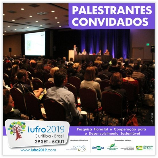 Foto — Associação Catarinense de Empresas Florestais (ACR)