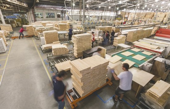 Foto — Associação Catarinense de Empresas Florestais (ACR)