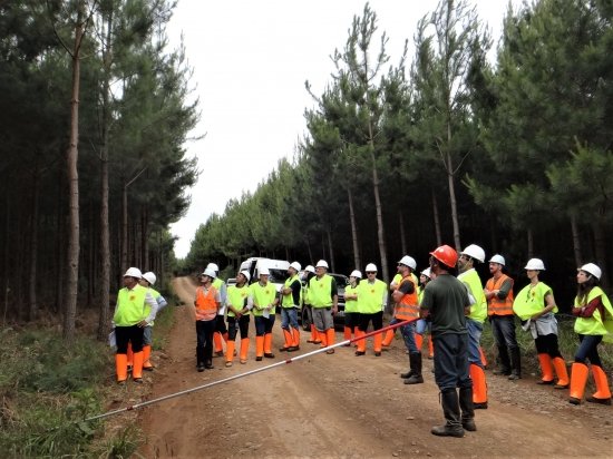 Foto — Associação Catarinense de Empresas Florestais (ACR)