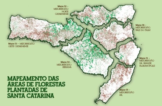 Foto — Associação Catarinense de Empresas Florestais (ACR)