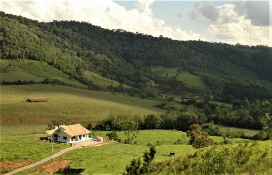 Foto — Associação Catarinense de Empresas Florestais (ACR)