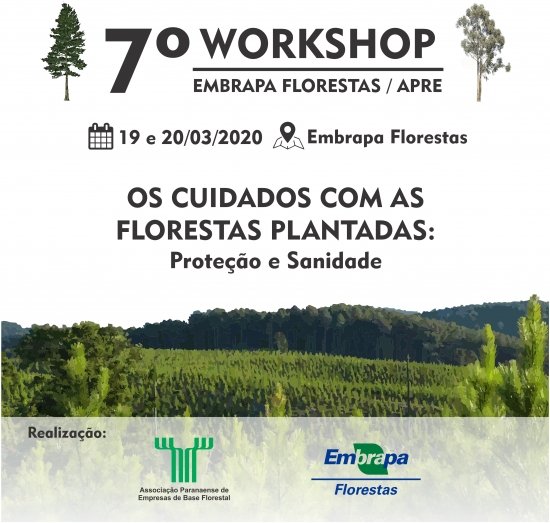 Foto — Associação Catarinense de Empresas Florestais (ACR)