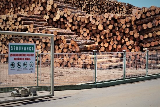 Foto — Associação Catarinense de Empresas Florestais (ACR)