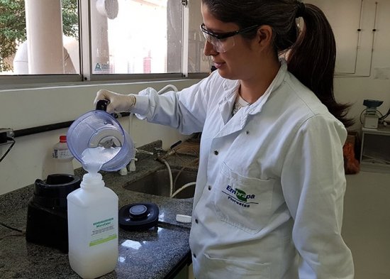 Foto — Associação Catarinense de Empresas Florestais (ACR)