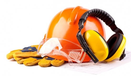 Foto — Associação Catarinense de Empresas Florestais (ACR)