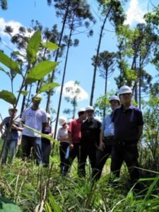 Foto — Associação Catarinense de Empresas Florestais (ACR)