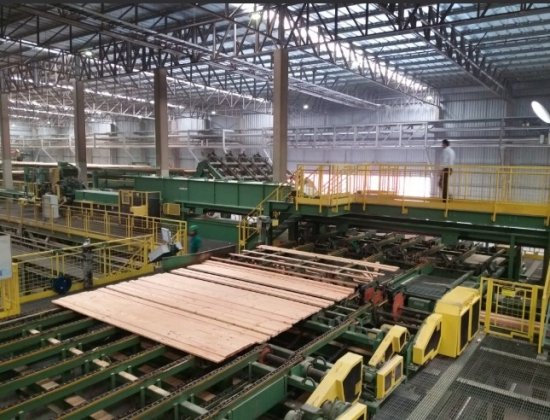 Foto — Associação Catarinense de Empresas Florestais (ACR)