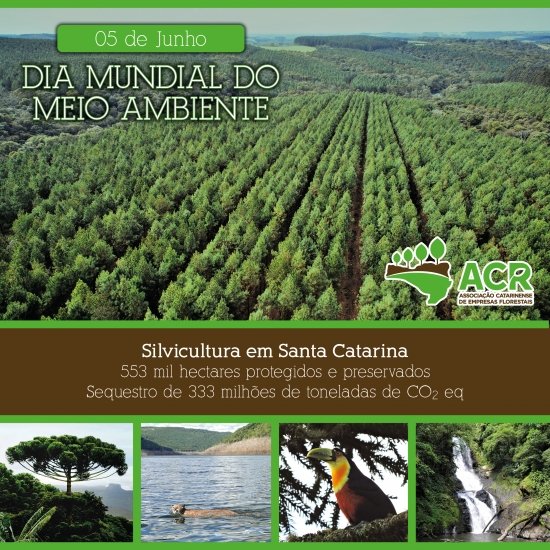 Foto — Associação Catarinense de Empresas Florestais (ACR)