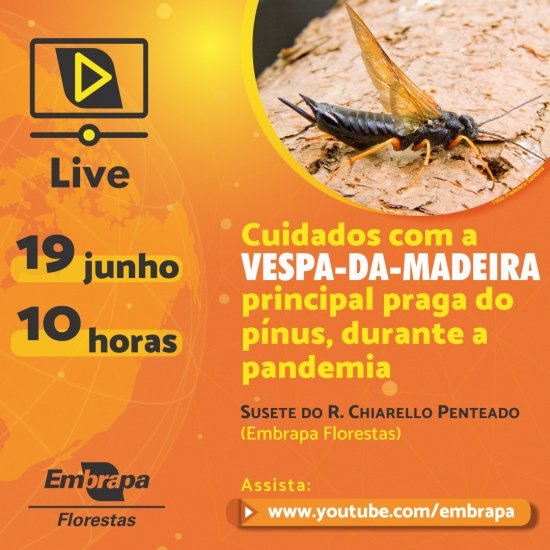 Foto — Associação Catarinense de Empresas Florestais (ACR)