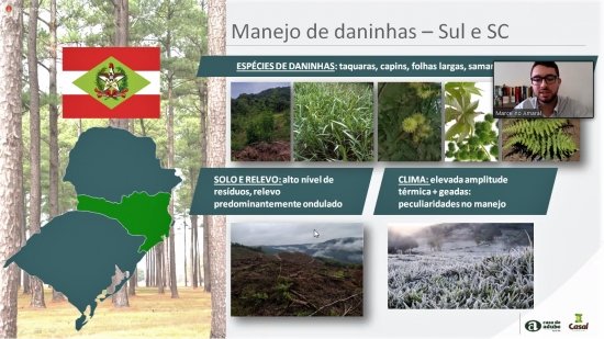 Foto — Associação Catarinense de Empresas Florestais (ACR)