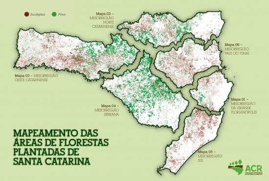 Foto — Associação Catarinense de Empresas Florestais (ACR)