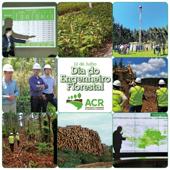 Foto — Associação Catarinense de Empresas Florestais (ACR)