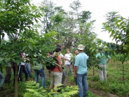 Foto — Associação Catarinense de Empresas Florestais (ACR)