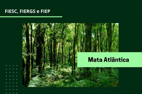 Foto — Associação Catarinense de Empresas Florestais (ACR)