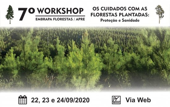Foto — Associação Catarinense de Empresas Florestais (ACR)