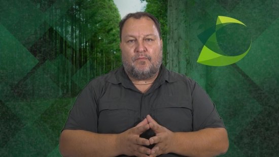 Foto — Associação Catarinense de Empresas Florestais (ACR)
